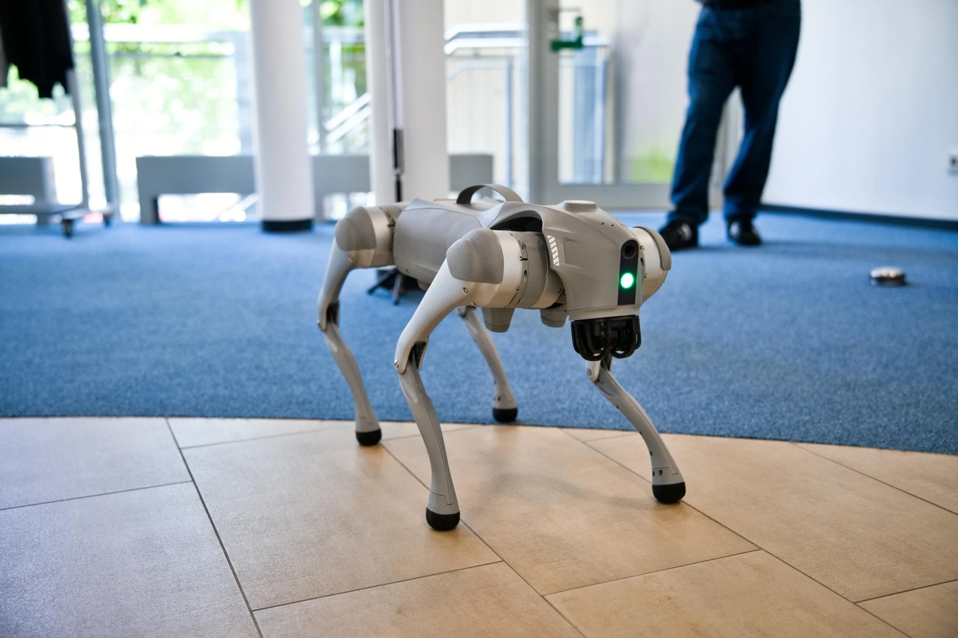 Simba bewegt sich autonom durch einen Gebäudeflur