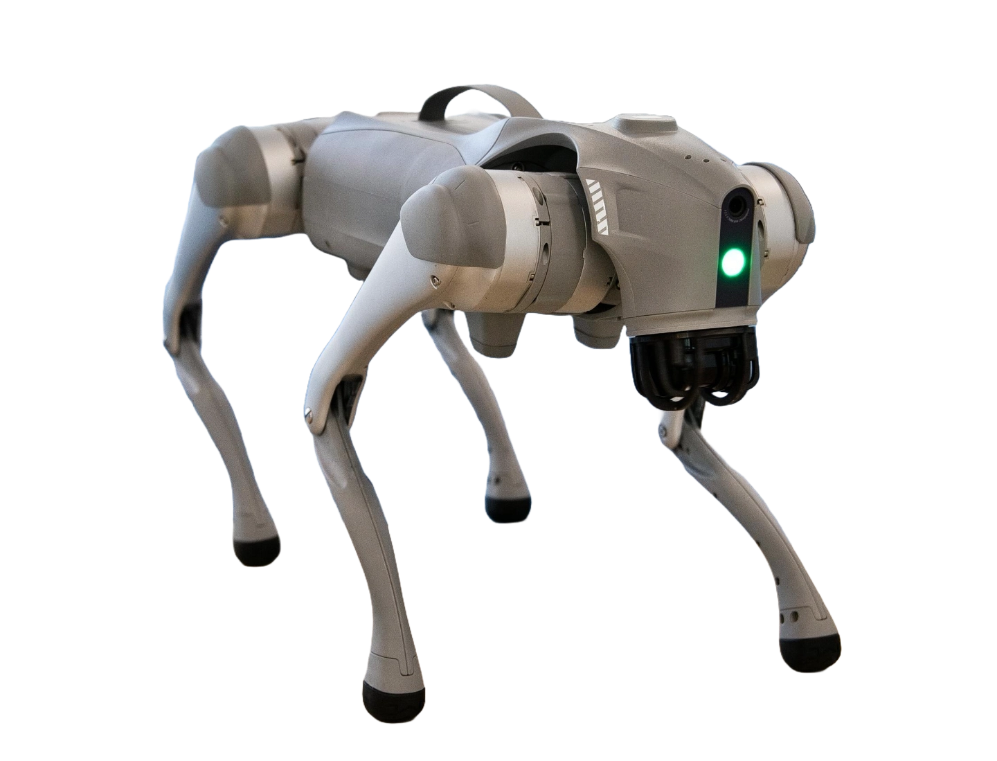 Simba, der mobile KI-Robotik-Prototyp von Silbury